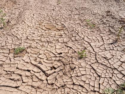 Amid political instability, UN reports a rapidly spreading drought in Afghanistan | Amid political instability, UN reports a rapidly spreading drought in Afghanistan
