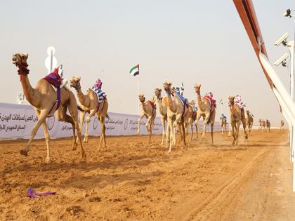Al Ain camel racing festival kicks off | Al Ain camel racing festival kicks off