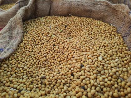 India's Non-GMO Soy Sector Prepares for EUDR Compliance with Support from SOPA and TRST01 | India's Non-GMO Soy Sector Prepares for EUDR Compliance with Support from SOPA and TRST01 India's Non-GMO Soy Sector Prepares for EUDR Compliance with Support from SOPA and TRST01 | India's Non-GMO Soy Sector Prepares for EUDR Compliance with Support from SOPA and TRST01