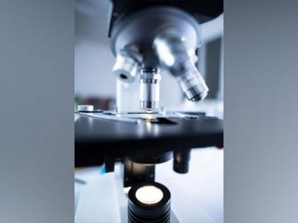 Here is how AI can help to understand gut bacteria | Here is how AI can help to understand gut bacteria Here is how AI can help to understand gut bacteria | Here is how AI can help to understand gut bacteria