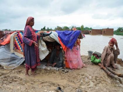 Pakistan: Neglect, mismanagement leave Sindh drowning in climate chaos | Pakistan: Neglect, mismanagement leave Sindh drowning in climate chaos Pakistan: Neglect, mismanagement leave Sindh drowning in climate chaos | Pakistan: Neglect, mismanagement leave Sindh drowning in climate chaos