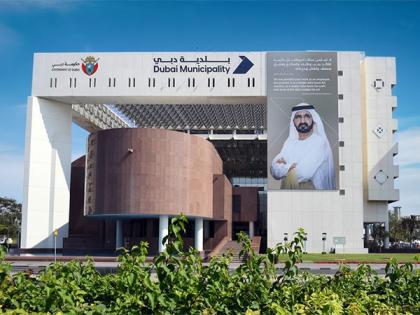 Dubai Municipality completes AED190 million landscaping projects | Dubai Municipality completes AED190 million landscaping projects Dubai Municipality completes AED190 million landscaping projects | Dubai Municipality completes AED190 million landscaping projects