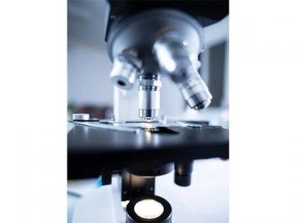 Scientists find over 200 hidden proteins that may drive Alzheimer's: Study | Scientists find over 200 hidden proteins that may drive Alzheimer's: Study Scientists find over 200 hidden proteins that may drive Alzheimer's: Study | Scientists find over 200 hidden proteins that may drive Alzheimer's: Study