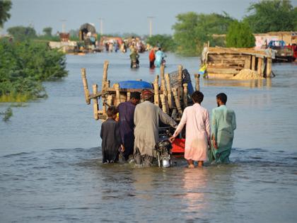Monsoon mayhem: Over 200 dead, 560 injured as relentless rains lash Pakistan | Monsoon mayhem: Over 200 dead, 560 injured as relentless rains lash Pakistan