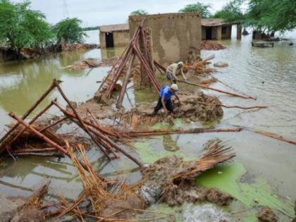 Death toll rises to 216 as monsoon wreaks havoc in Pakistan | Death toll rises to 216 as monsoon wreaks havoc in Pakistan Death toll rises to 216 as monsoon wreaks havoc in Pakistan | Death toll rises to 216 as monsoon wreaks havoc in Pakistan
