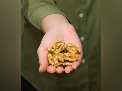 Walnuts Among Omega-3 Foods Linked to Brain Development Benefits in Children and Adolescents | Walnuts Among Omega-3 Foods Linked to Brain Development Benefits in Children and Adolescents Walnuts Among Omega-3 Foods Linked to Brain Development Benefits in Children and Adolescents | Walnuts Among Omega-3 Foods Linked to Brain Development Benefits in Children and Adolescents
