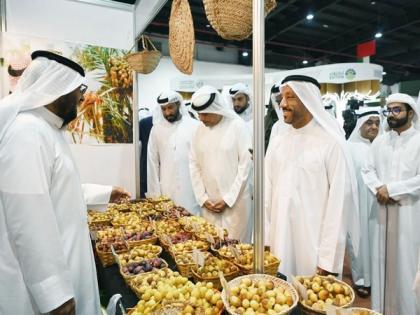 Al Dhaid Date Festival attracts major date producers from across UAE | Al Dhaid Date Festival attracts major date producers from across UAE