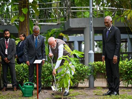 PM Modi, Muizzu's participation in 'Ek ped maa ke naam' reflects "shared vision for sustainable future": MEA | PM Modi, Muizzu's participation in 'Ek ped maa ke naam' reflects "shared vision for sustainable future": MEA