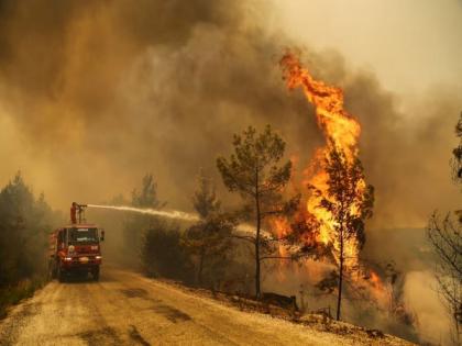 Turkey wildfires displaces over 1,700; kill 1 firefighter | Turkey wildfires displaces over 1,700; kill 1 firefighter Turkey wildfires displaces over 1,700; kill 1 firefighter | Turkey wildfires displaces over 1,700; kill 1 firefighter
