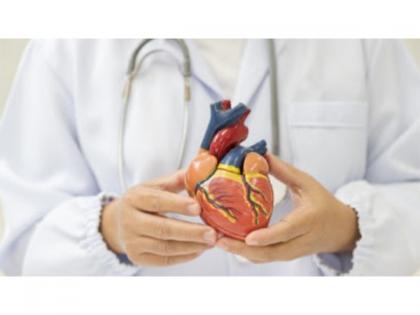 Get Exciting Cashback with Bajaj Finserv Doctor Loan this Loan Utsav | Get Exciting Cashback with Bajaj Finserv Doctor Loan this Loan Utsav Get Exciting Cashback with Bajaj Finserv Doctor Loan this Loan Utsav | Get Exciting Cashback with Bajaj Finserv Doctor Loan this Loan Utsav