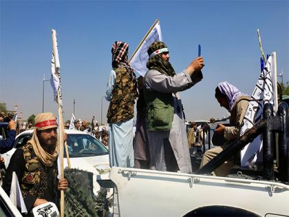 Afghanistan harbours major terror groups despite Taliban's Doha pledge, warns SIGAR report | Afghanistan harbours major terror groups despite Taliban's Doha pledge, warns SIGAR report Afghanistan harbours major terror groups despite Taliban's Doha pledge, warns SIGAR report | Afghanistan harbours major terror groups despite Taliban's Doha pledge, warns SIGAR report