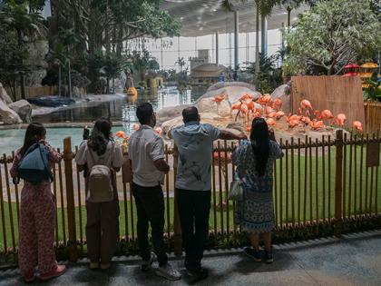 SeaWorld Abu Dhabi enriches marine knowledge, entertainment | SeaWorld Abu Dhabi enriches marine knowledge, entertainment