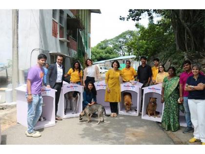 Mars and Instamart Expand Paw Protecc to Hyderabad and Chennai to Shield Homeless Pets from Monsoon Hardship | Mars and Instamart Expand Paw Protecc to Hyderabad and Chennai to Shield Homeless Pets from Monsoon Hardship Mars and Instamart Expand Paw Protecc to Hyderabad and Chennai to Shield Homeless Pets from Monsoon Hardship | Mars and Instamart Expand Paw Protecc to Hyderabad and Chennai to Shield Homeless Pets from Monsoon Hardship