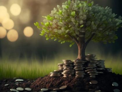 How Flexi Funds Align with Evolving Investor Goals and Life Stages | How Flexi Funds Align with Evolving Investor Goals and Life Stages