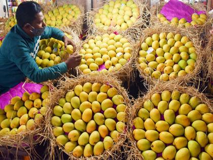 First eNAM trade between JK and Maharashtra rolls out in Pune, marks a milestone in digital agriculture | First eNAM trade between JK and Maharashtra rolls out in Pune, marks a milestone in digital agriculture
