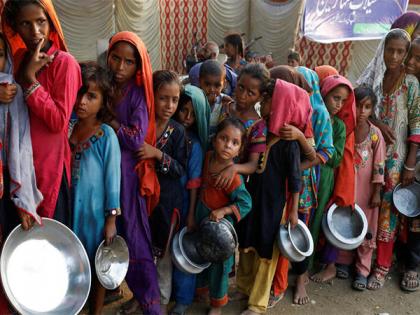 Pakistan: Women's Action Forum reports over 2000 gender violence cases in Sindh | Pakistan: Women's Action Forum reports over 2000 gender violence cases in Sindh