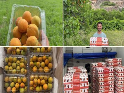 Kargil's apricots exported to Saudi, Kuwait, Qatar for first time | Kargil's apricots exported to Saudi, Kuwait, Qatar for first time