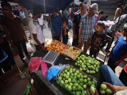 Israeli probe finds Gaza hunger reports inflated, deaths misattributed | Israeli probe finds Gaza hunger reports inflated, deaths misattributed Israeli probe finds Gaza hunger reports inflated, deaths misattributed | Israeli probe finds Gaza hunger reports inflated, deaths misattributed