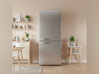 Why a 5 Star Refrigerator Tops the Independence Day Sale List | Why a 5 Star Refrigerator Tops the Independence Day Sale List Why a 5 Star Refrigerator Tops the Independence Day Sale List | Why a 5 Star Refrigerator Tops the Independence Day Sale List