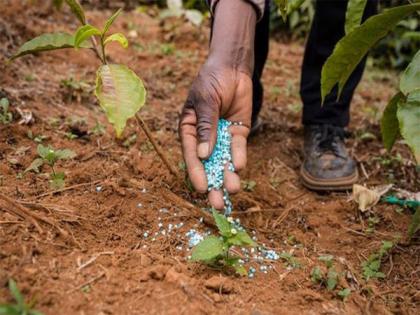 After energy, India now eyes self-reliance in fertilisers, reducing import dependence | After energy, India now eyes self-reliance in fertilisers, reducing import dependence