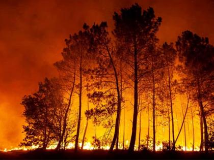 UAE rescue team continues efforts to extinguish wildfires in Albania | UAE rescue team continues efforts to extinguish wildfires in Albania UAE rescue team continues efforts to extinguish wildfires in Albania | UAE rescue team continues efforts to extinguish wildfires in Albania