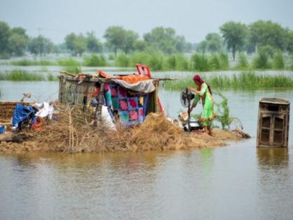 Pakistan: Heavy rains cause floods in Indus resulting in displacement, crop devastation | Pakistan: Heavy rains cause floods in Indus resulting in displacement, crop devastation Pakistan: Heavy rains cause floods in Indus resulting in displacement, crop devastation | Pakistan: Heavy rains cause floods in Indus resulting in displacement, crop devastation