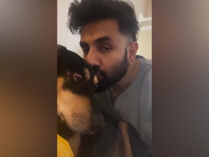 "A safe return of our community dogs": Vir Das welcomes SC's modified order on stray dogs | "A safe return of our community dogs": Vir Das welcomes SC's modified order on stray dogs "A safe return of our community dogs": Vir Das welcomes SC's modified order on stray dogs | "A safe return of our community dogs": Vir Das welcomes SC's modified order on stray dogs