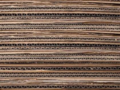 India sets minimum import price for some paper boards | India sets minimum import price for some paper boards India sets minimum import price for some paper boards | India sets minimum import price for some paper boards