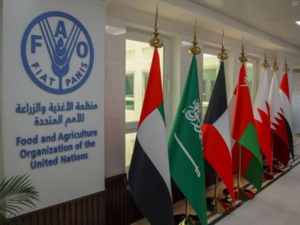 FAO marks Emirati Women's Day | FAO marks Emirati Women's Day FAO marks Emirati Women's Day | FAO marks Emirati Women's Day