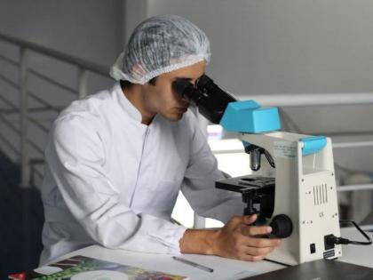 Scientists uncover cellular "toolkit" to reprogram immune cells for cancer therapy: Study | Scientists uncover cellular "toolkit" to reprogram immune cells for cancer therapy: Study