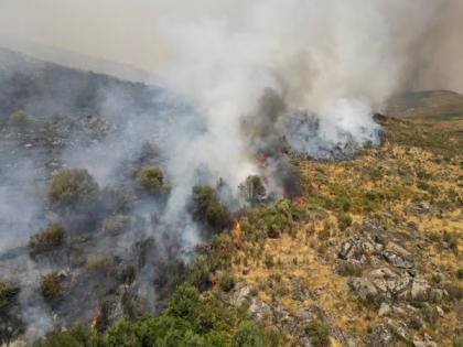 Portugal: Teen admits to starting several wildfires | Portugal: Teen admits to starting several wildfires