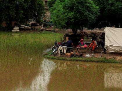 Floods destroy crops in Pakistan, UN warns of looming food crisis | Floods destroy crops in Pakistan, UN warns of looming food crisis