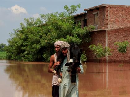 Khyber Pakhtunkhwa floods destroy thousands of acres of crops, threaten livestock: UN-OCHA | Khyber Pakhtunkhwa floods destroy thousands of acres of crops, threaten livestock: UN-OCHA Khyber Pakhtunkhwa floods destroy thousands of acres of crops, threaten livestock: UN-OCHA | Khyber Pakhtunkhwa floods destroy thousands of acres of crops, threaten livestock: UN-OCHA