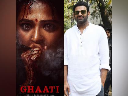 Prabhas cheers for "Sweety" Anushka Shetty's 'Ghaati', finds new trailer "intense, intriguing" | Prabhas cheers for "Sweety" Anushka Shetty's 'Ghaati', finds new trailer "intense, intriguing" Prabhas cheers for "Sweety" Anushka Shetty's 'Ghaati', finds new trailer "intense, intriguing" | Prabhas cheers for "Sweety" Anushka Shetty's 'Ghaati', finds new trailer "intense, intriguing"