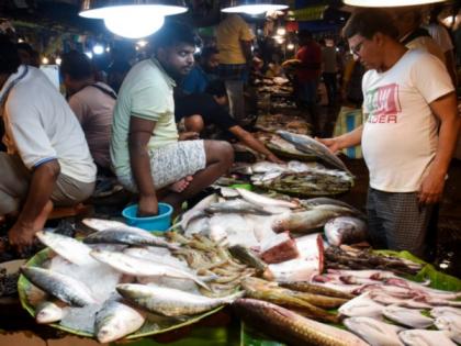 Bangladesh allows export of 1,200 tonnes of Hilsa to India ahead of Durga Puja | Bangladesh allows export of 1,200 tonnes of Hilsa to India ahead of Durga Puja