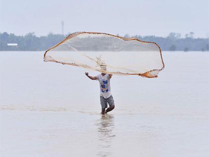 102 new Indian fishery units can now export to EU countries: Piyush Goyal | 102 new Indian fishery units can now export to EU countries: Piyush Goyal