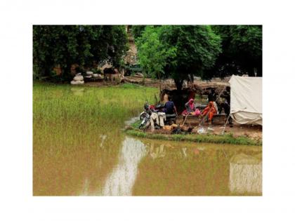 Pakistan: Nearly 2.5 million evacuated in Punjab as flood water begins to recede | Pakistan: Nearly 2.5 million evacuated in Punjab as flood water begins to recede