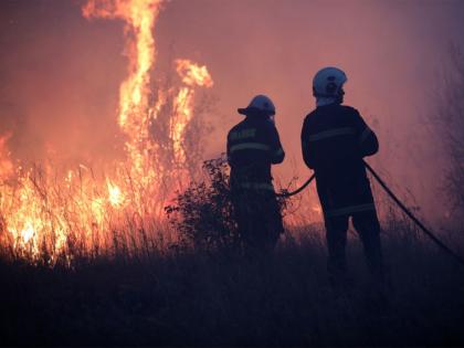 Bulgaria extinguishes 121 fires in 24 hours, No injuries reported | Bulgaria extinguishes 121 fires in 24 hours, No injuries reported