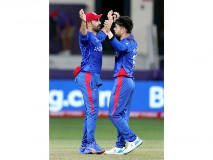 Asia Cup: Massive milestones within reach for Afghanistan giants Rashid, Nabi | Asia Cup: Massive milestones within reach for Afghanistan giants Rashid, Nabi
