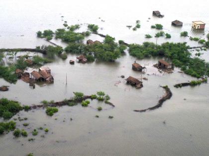 Floods ravage Pakistan's breadbasket, over 2.2-million-acre farmland hit | Floods ravage Pakistan's breadbasket, over 2.2-million-acre farmland hit