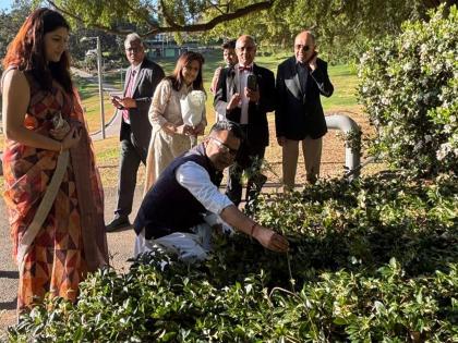 MoS Margherita plants sapling in Australia under 'Ek Ped Maa Ke Naam' initiative | MoS Margherita plants sapling in Australia under 'Ek Ped Maa Ke Naam' initiative