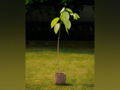 UK: King Charles sends Kadamb tree as present to PM Modi on birthday | UK: King Charles sends Kadamb tree as present to PM Modi on birthday