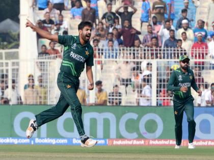 "Board has handled it well": Haris Rauf on Pakistan's Asia Cup saga | "Board has handled it well": Haris Rauf on Pakistan's Asia Cup saga