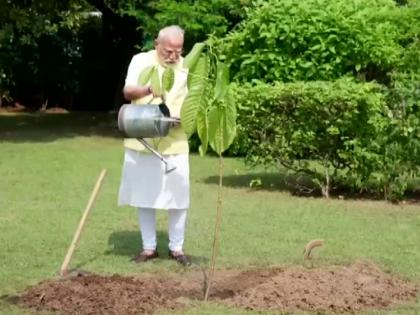 PM Modi plants Kadamb sapling gifted by King Charles on his birthday | PM Modi plants Kadamb sapling gifted by King Charles on his birthday
