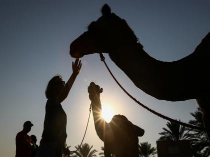 Pakistan: Feudal landlord cripples young camel for drinking water from his land in Sindh | Pakistan: Feudal landlord cripples young camel for drinking water from his land in Sindh