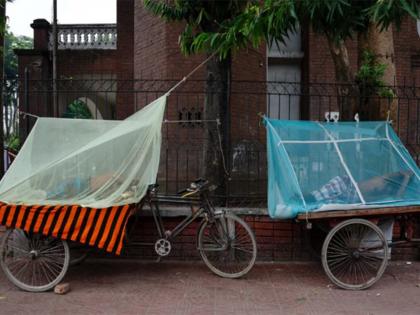 Bangladesh reports surge in dengue cases, records nine deaths in past 24 hours | Bangladesh reports surge in dengue cases, records nine deaths in past 24 hours