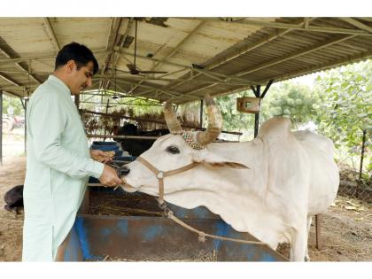 Dairy giant Banas commits to Climate Action: Collaborates with eVerse.AI to reduce 30% methane emissions every year from 3 million cattle | Dairy giant Banas commits to Climate Action: Collaborates with eVerse.AI to reduce 30% methane emissions every year from 3 million cattle Dairy giant Banas commits to Climate Action: Collaborates with eVerse.AI to reduce 30% methane emissions every year from 3 million cattle | Dairy giant Banas commits to Climate Action: Collaborates with eVerse.AI to reduce 30% methane emissions every year from 3 million cattle