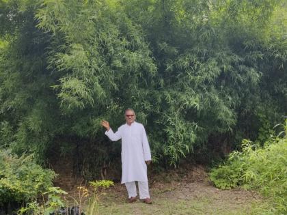 The Bamboo Miracle: How The Art of Living Helped a Village Grow Wealth from Wasteland | The Bamboo Miracle: How The Art of Living Helped a Village Grow Wealth from Wasteland