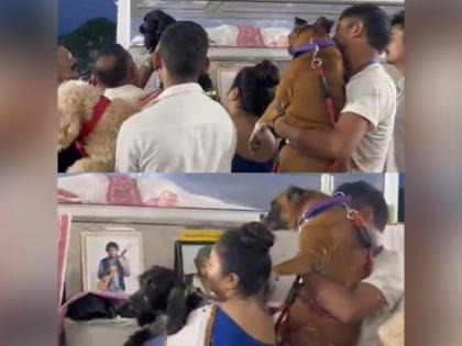 When Zubeen Garg's canine companions joined in for the last goodbye, Assam CM shares emotional moment | When Zubeen Garg's canine companions joined in for the last goodbye, Assam CM shares emotional moment