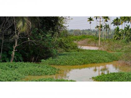 Healing India's Rivers: The Art of Living's Water Revolution | Healing India's Rivers: The Art of Living's Water Revolution
